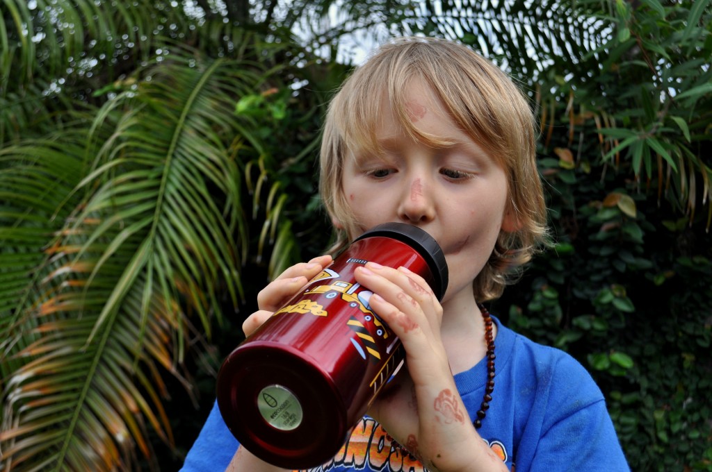 The Perfect Drink Bottle on Homemade, Healthy, Happy