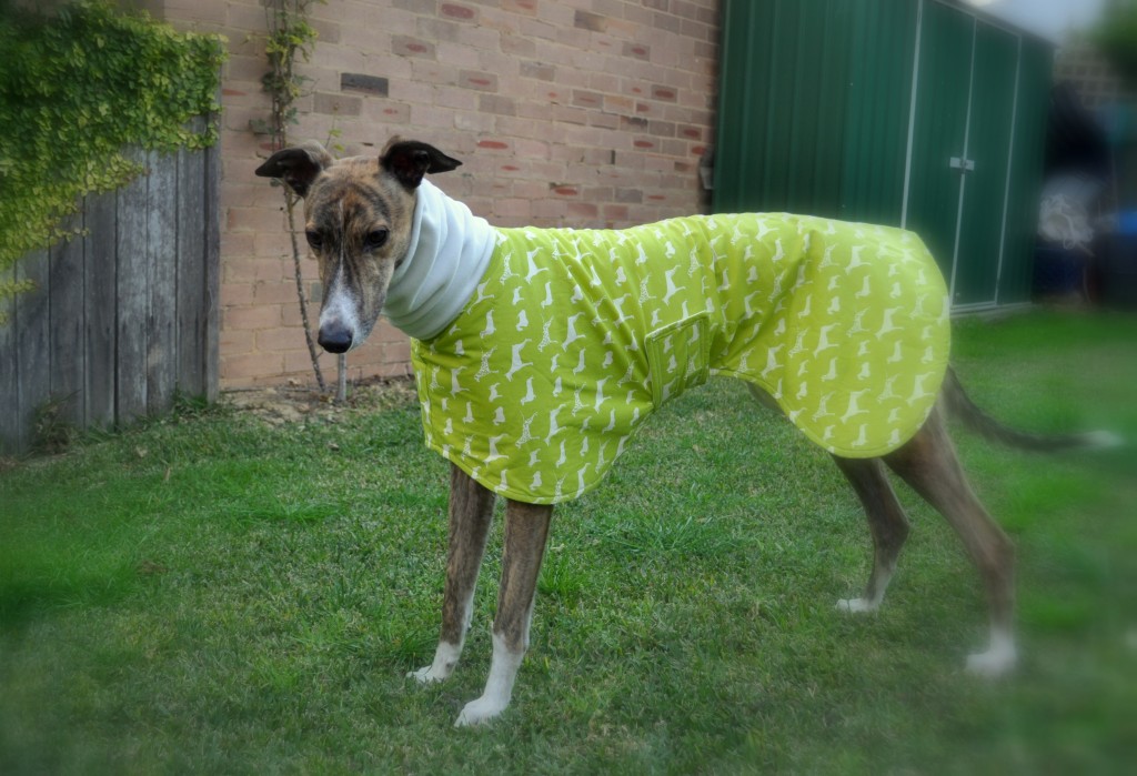 Greyhound Coat on Homemade, Healthy, Happy