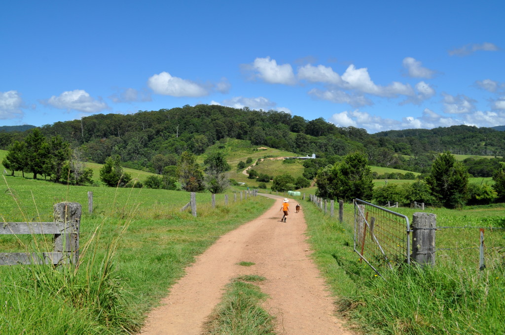 8 Big Lessons from a Biodynamic Dairy Farm on Homemade, Healthy, Happy