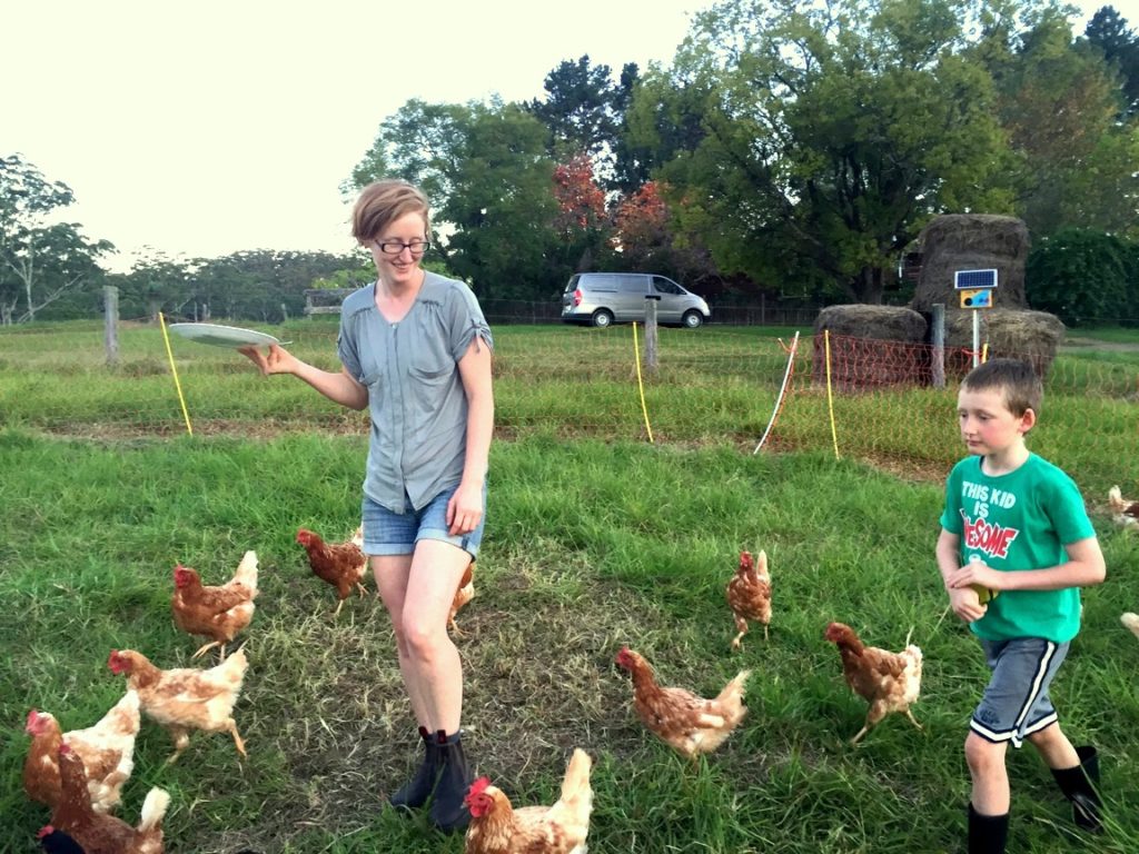 Feeding Chickens at Ginger & Brown Farmstead on Homemade, Healthy, Happy