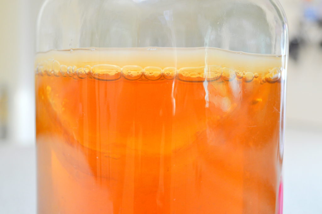 Common Fermentation Myths BUSTED, on Homemade, Healthy, Happy