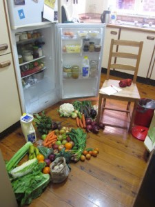 My CSA system (and some momentary chaos!)